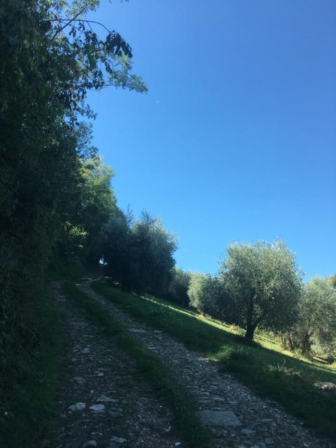 Villa San Regolino Whit Private Pool Radicondoli Exterior foto